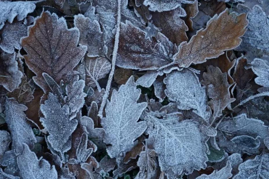 «Поступили новые данные». Синоптики неожиданно изменили прогноз на ноябрь