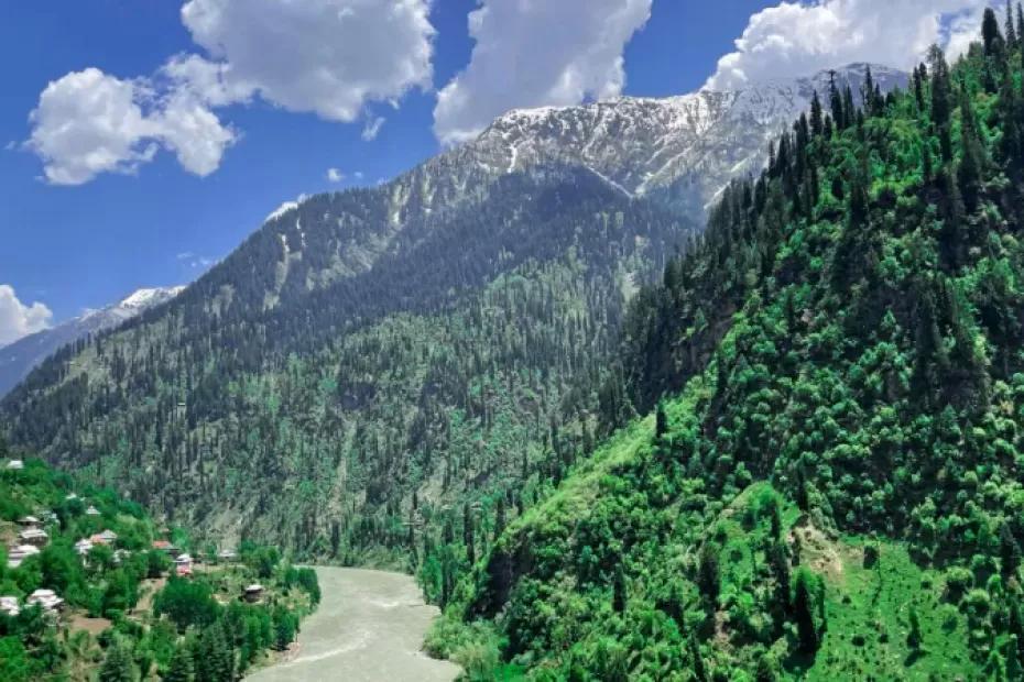 В гостях у богатого абхазца: что нам очень понравилось, а что показалось непонятно странным