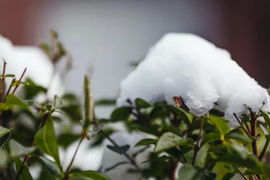 «Не мороз, а нечто похуже»: синоптики рассказали, какая аномалия ждет Россию зимой