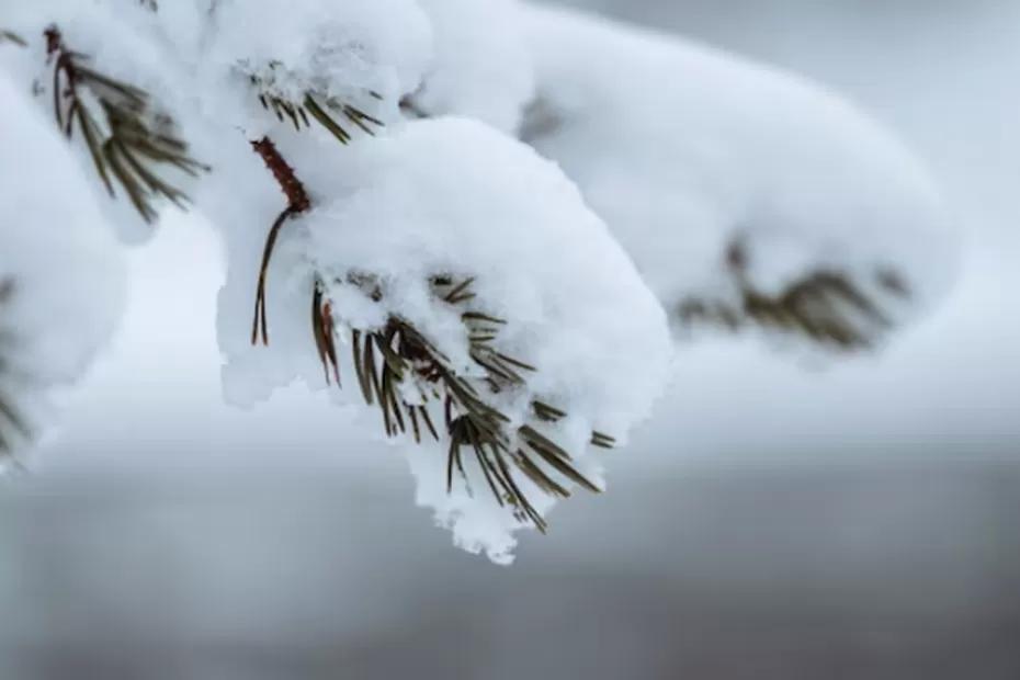 Зима-2026 будет нервной: синоптики призвали дачников и пожилых готовиться к худшему - точный прогноз