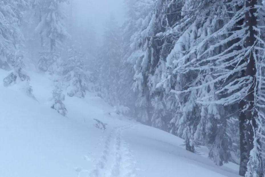 «Неделя устроит нам испытания»: Синоптики представили обновлённый прогноз на начала ноября