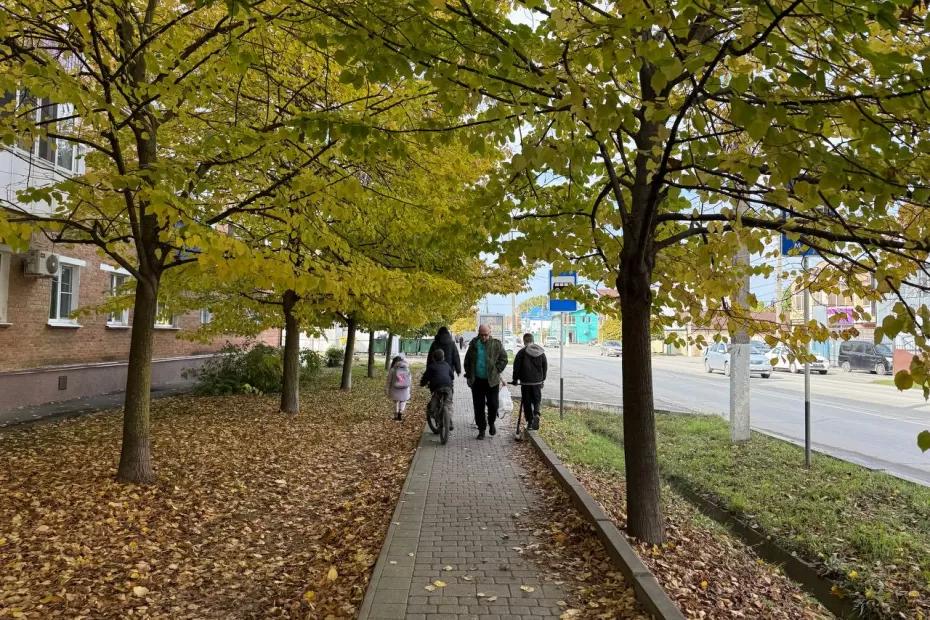 Погода 6 ноября предскажет, какой на самом деле будет зима-2026: вот на что обращаю внимание, сбывается на все 100%