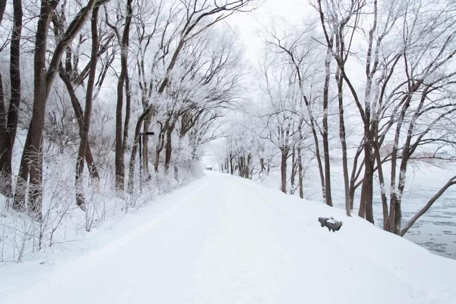 Такой зимы не было 250 лет: синоптики рассказали, к чему нужно прямо сейчас готовиться
