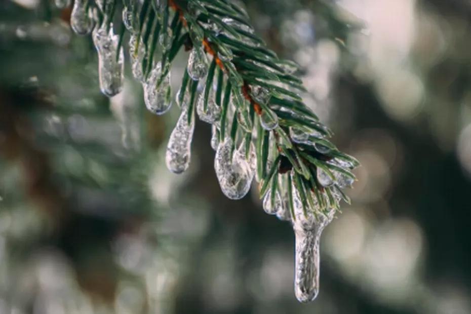 Студеный январь и нечто похуже: синоптик Роман Вильфанд рассказал, что будет зимой 2026 - нас ждут аномалии