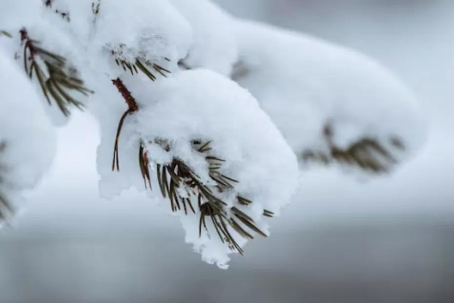 Холод зайдет без стука: Вильфанд сказал, когда в России закончится теплая погода