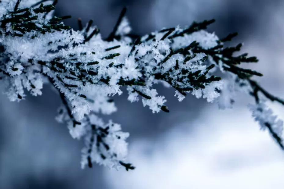 Мороз ворвется уверенно: Вильфанд изменил прогноз на ноябрь - нас ждет арктическое вторжение