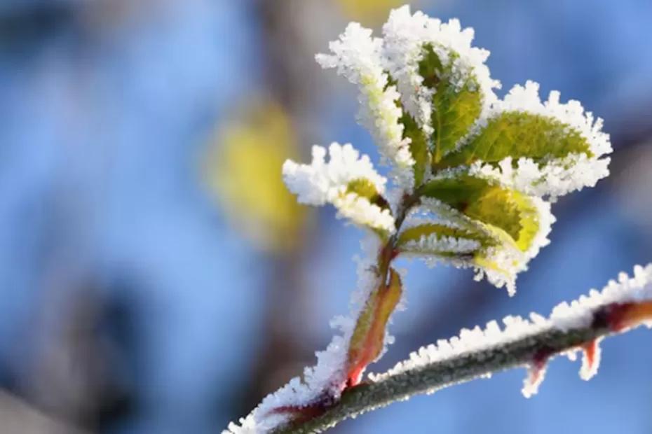 «Не мороз, а нечто похуже»: зима 2026 будет тёплая и непредсказуемая - как подготовиться