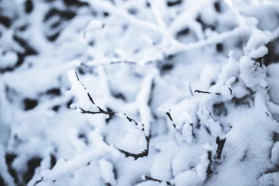 Такого мы точно не ожидали: Россия столкнулась с аномальным потеплением в начале ноября