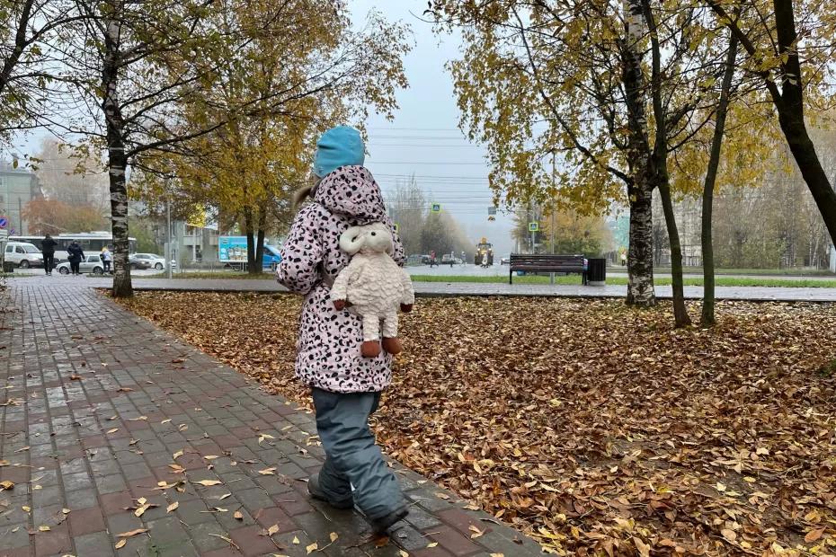 Зима и снег отменяются: Вильфанд рассказал о погоде в ноябре - холод заменится теплом