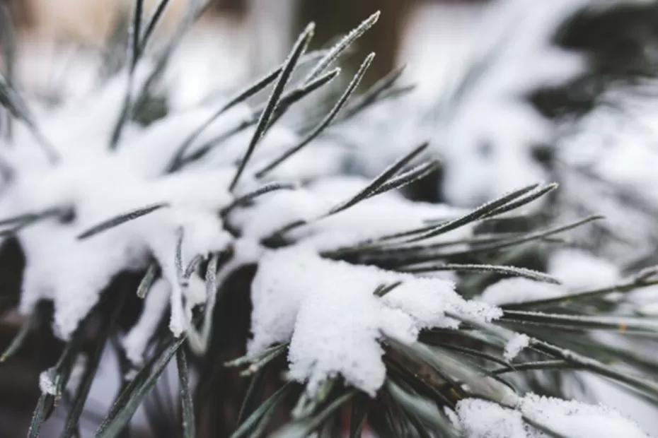 Зимой начнется то, чего не было с 1772 года: синоптики точно сообщили россиянам, к чему нужно готовиться