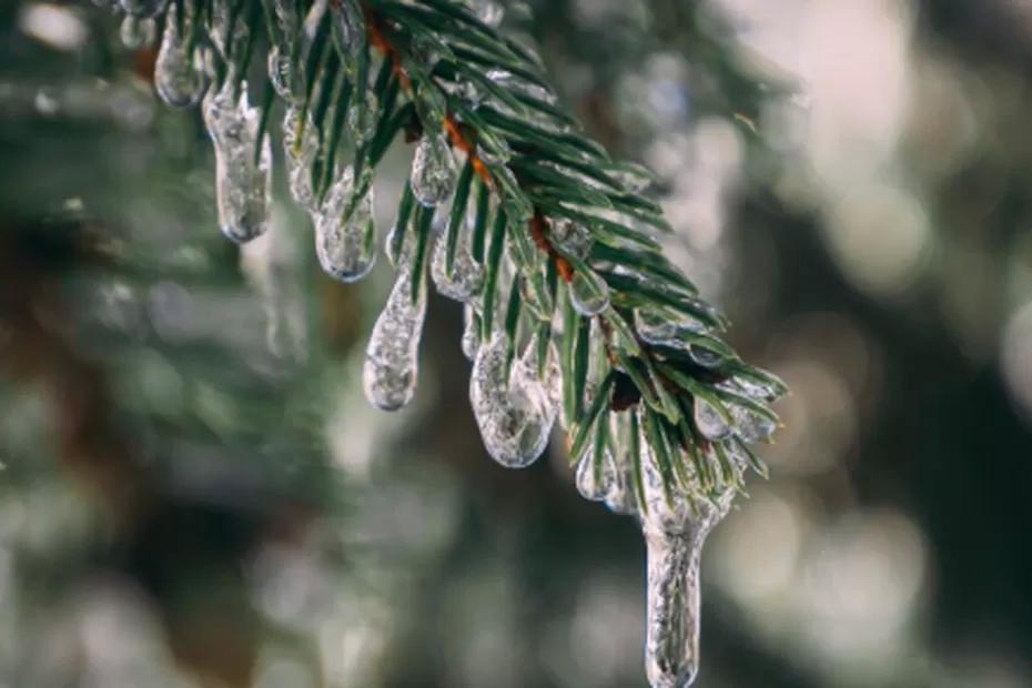 Студеный январь принесет нечто похуже: синоптик Вильфанд рассказал, что будет зимой 2026 - нас ждут аномалии
