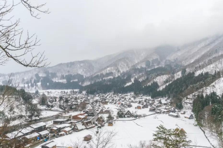 Зима-2026 будет безжалостна: синоптики советуют дачникам и пожилым людям готовиться к худшему - прогноз на сезон