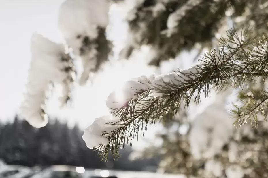 Метеорологи рассказали, к чему готовиться: такой зимы не было 250 лет