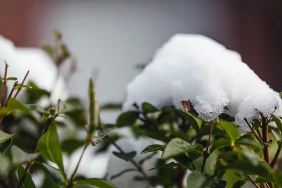 Холод постучится в дверь без стука: Эксперт Вильфанд сказал, когда для россиян закончится теплая погода