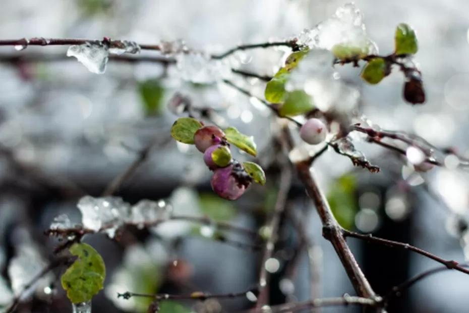 «Страдать будем все»: Вильфанд рассказал, когда и почему аномальная жара придет в Россию