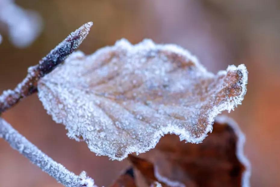 Зима обещает аномальную непредсказуемость: чего ждать в 2026 году