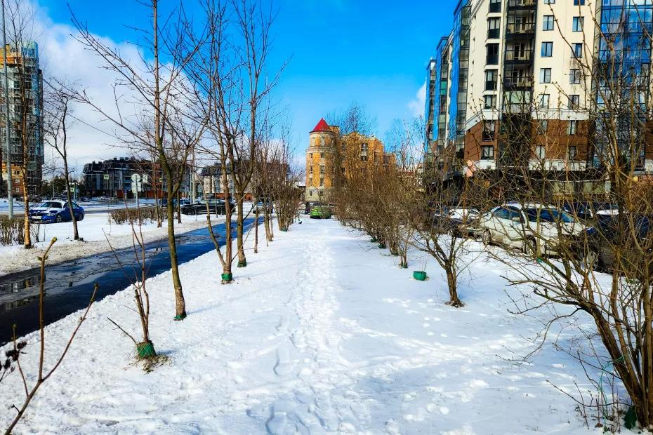 Чего ожидать от погоды в России в ноябре: климатическое безумие