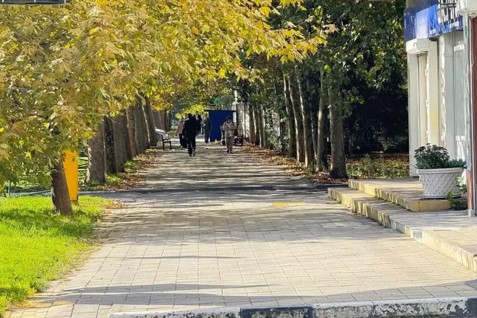 По прогнозу Гидрометцентра теплый ноябрь не принесет снега в европейскую часть России: бабье лето затянулось