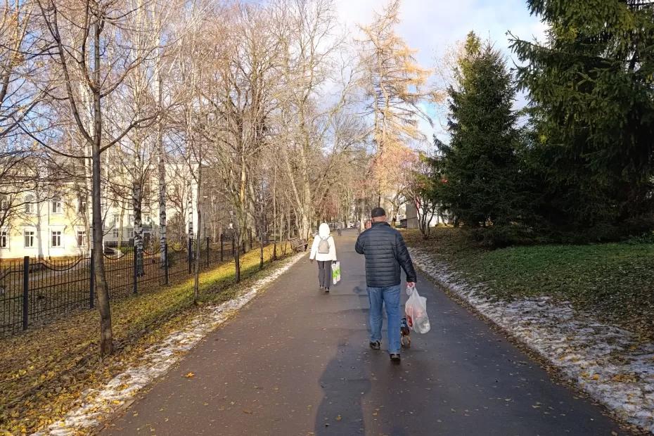 Зиму не ждите: Роман Вильфанд дал прогноз на начало декабря