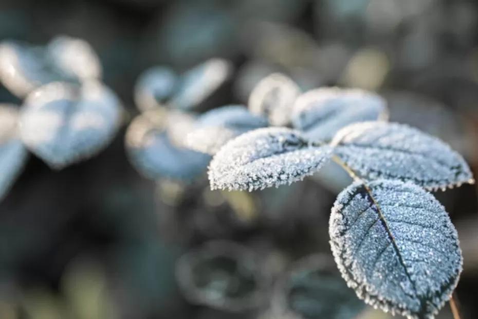 Зима уходит обратно к себе: Вильфанд сообщил россиянам о новой волне тепла с юга