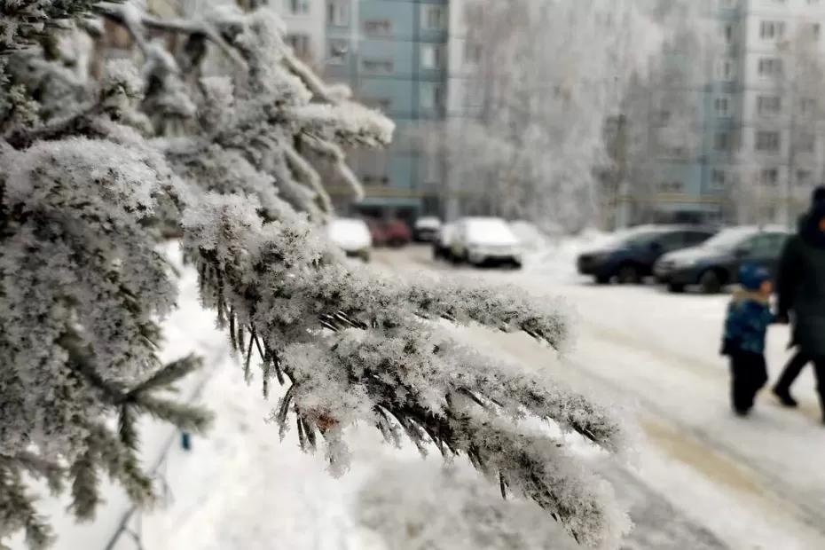 Погода расставила все точки: Роман Вильфанд ошарашил россиян новогодним прогнозом по регионам