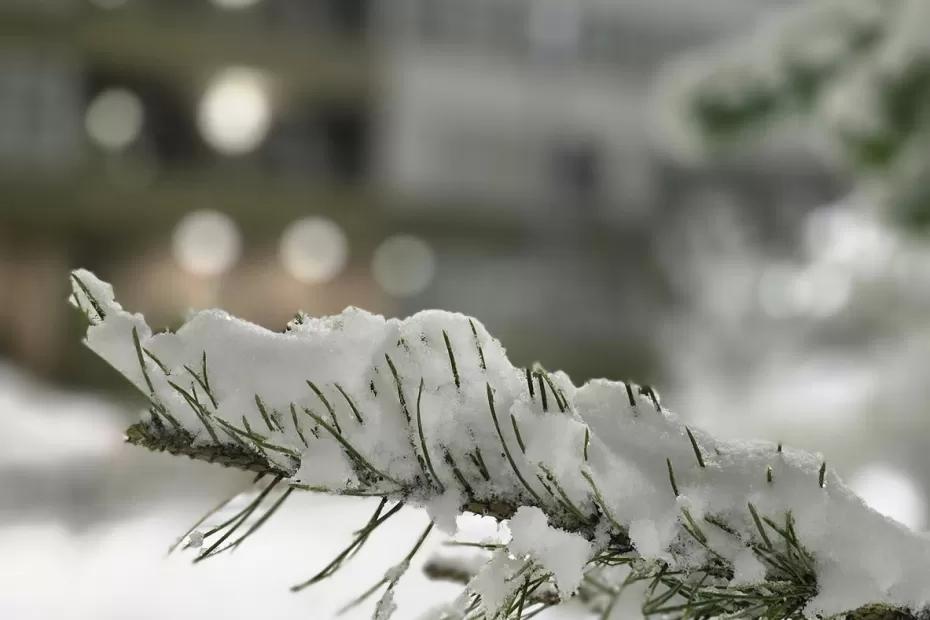 Самая суровая зима за 250 лет: синоптики фиксируют ранние признаки рекордных морозов и предупреждают о снежных бурях