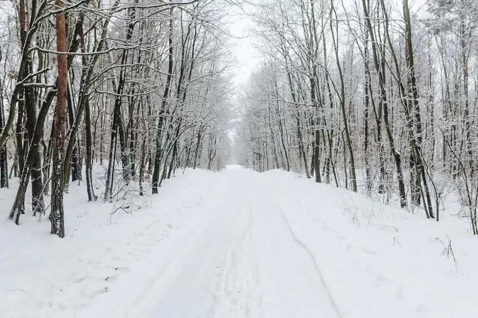 Жуткие морозы до 30-40 градусов накроют три региона России в ближайшее время  - Вильфанд
