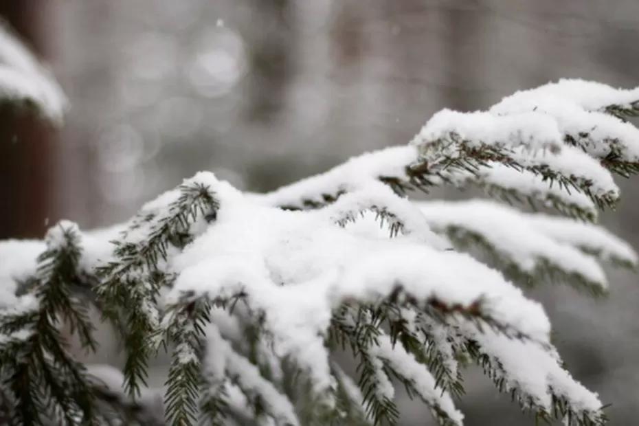 Зима отменяется: в ряде регионов России грядет «метеовесна» - подробный прогноз