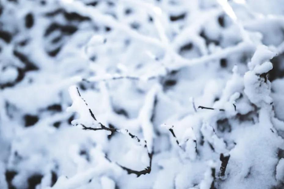 От аномального тепла до лютых морозов: россиянам пообещали странную зиму - новый прогноз по всем регионам