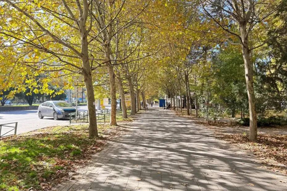 Ноябрь может войти в десятку самых теплых месяцев за последние полтора века: такого не было 146 лет