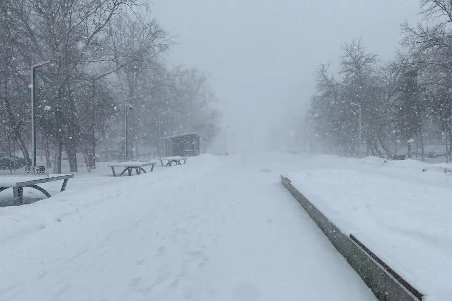 Жуткие морозы и сильнейшие снегопады по всей России: синоптики призвали россиян готовиться к худшему - на нас надвигается безумная зима