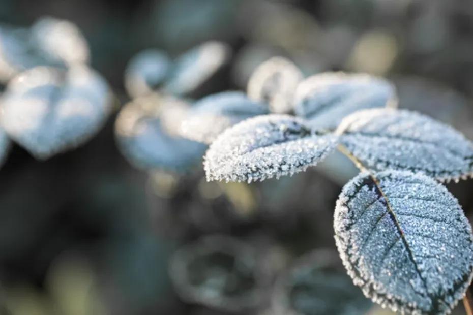 Январские морозы накроют Россию уже в ноябре: Вильфанд насторожил россиян прогнозом