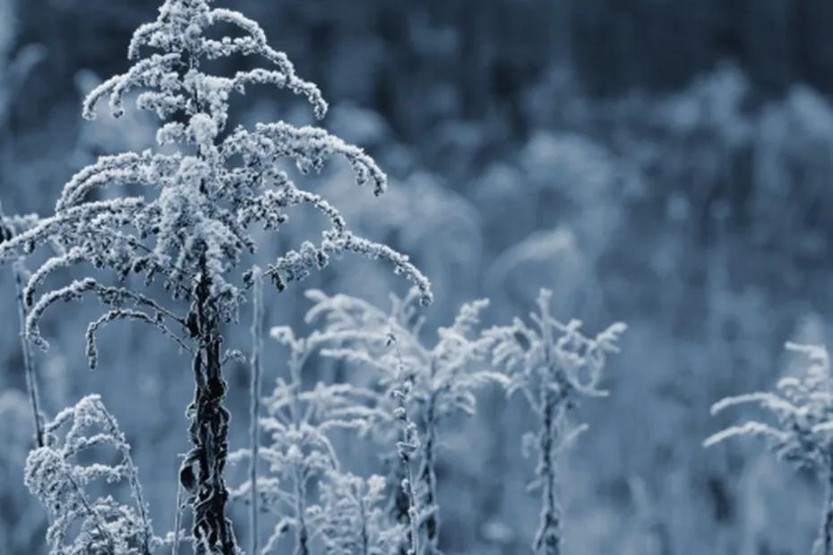 Зима уходит прочь от нас: Вильфанд сообщил россиянам о прогнозируемой волне тепла