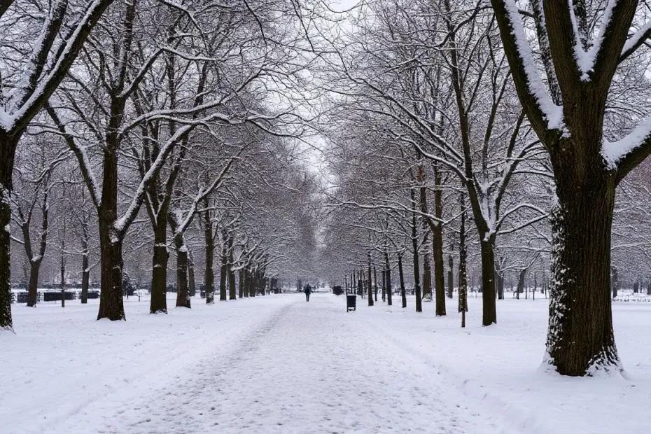 Зима отменяется: готовься к теплой погоде и дождям этой зимой
