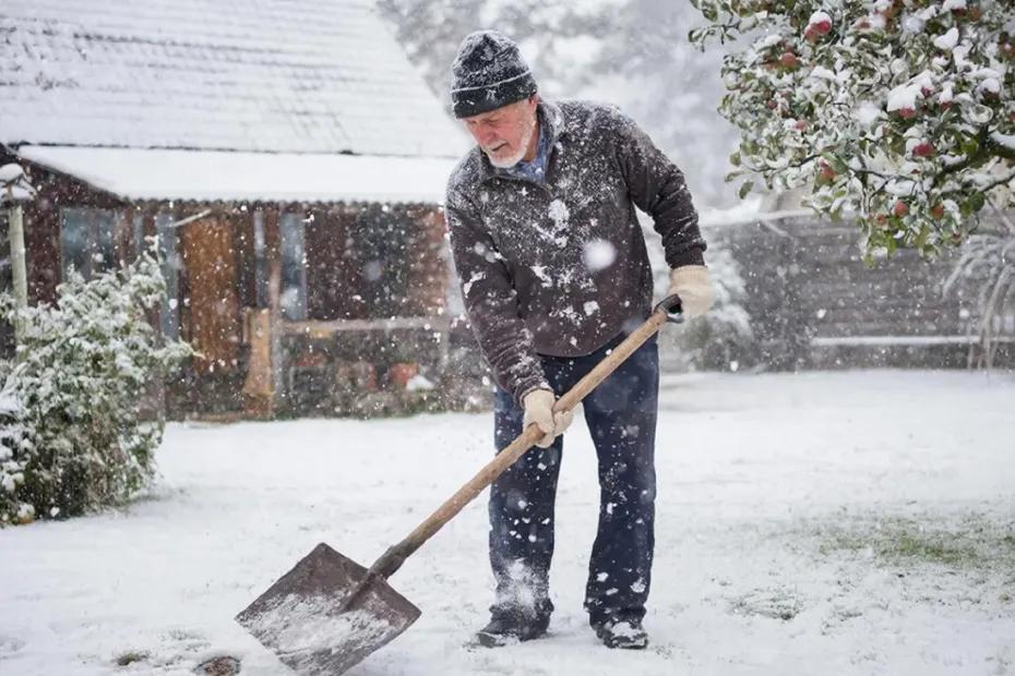 Вильфанд обновил прогноз на наступающую зиму: «Сценарий неутешительный» - чего ожидать садоводам и пожилым
