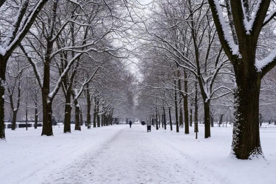 Эксперт назвал точную дату прихода снежной зимы: шокирующий прогноз