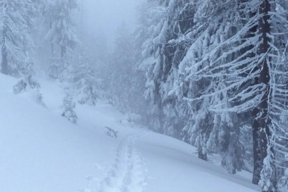 Аномальная зима 2025-2026: Синоптики предупреждают о непредсказуемых сценариях по всей стране