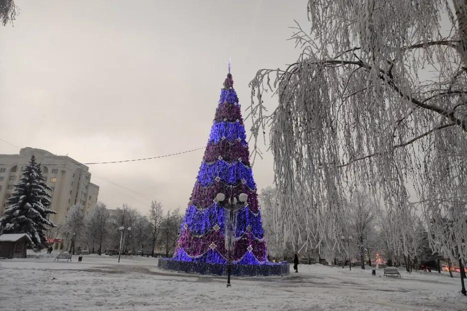 Будет ли снег в новогодние праздники? Предварительный прогноз синоптиков