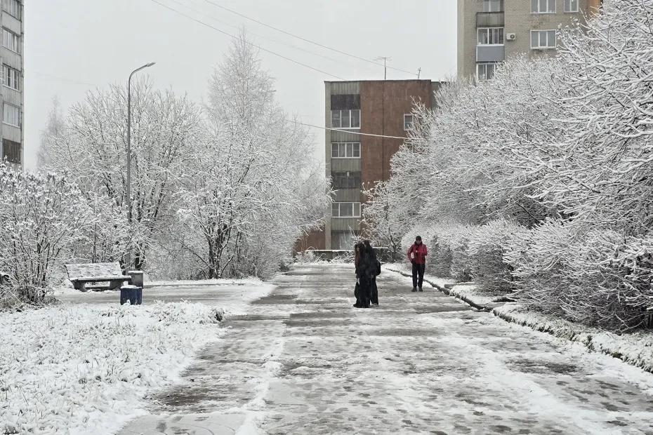 Погодные качели и локальные рекорды: что ждёт Россию зимой 2026 года