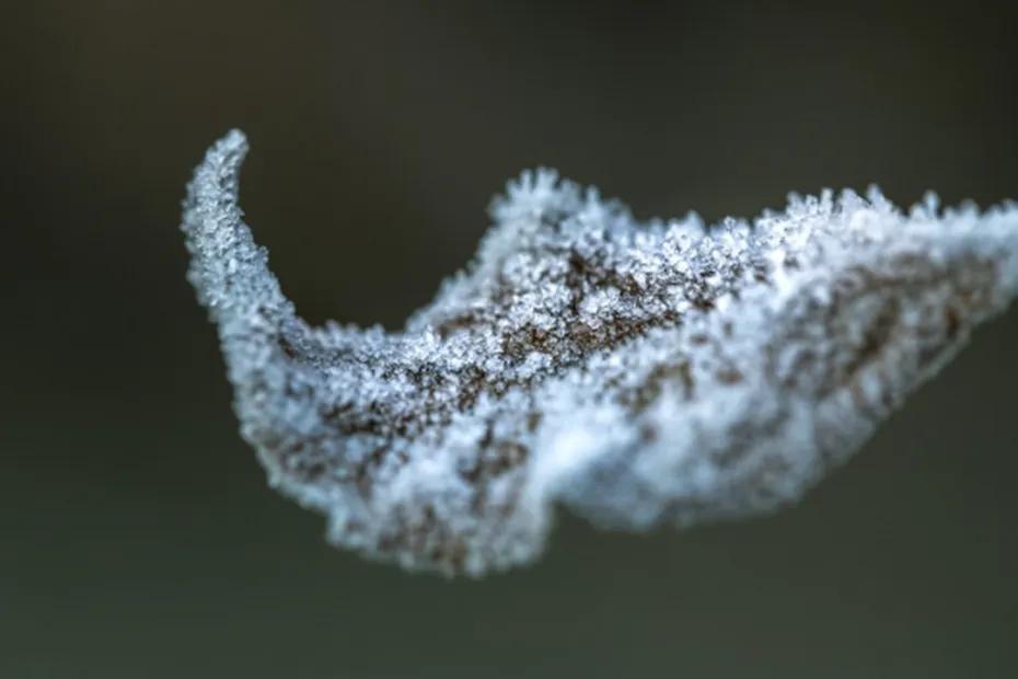 Буйный циклон «Герхард» принесет нам мороз и снег: когда в Россию придет настоящая зима