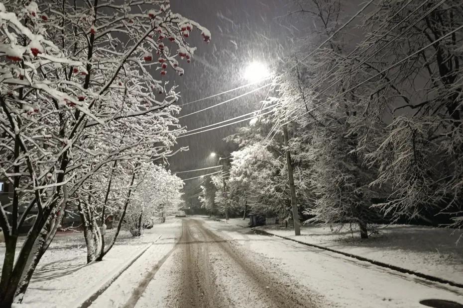 Синоптики обновили прогноз: чего ждать от зимы 2025-2026 - будет ли снег, морозы и когда наступит настоящая зима