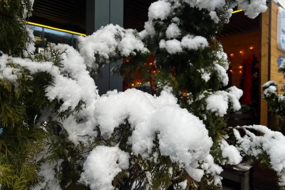 Зима придет внезапно: когда ударят морозы и пойдет первый снег