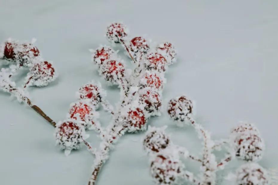 Будет самая холодная зима за 250 лет: синоптики предупредили о морозах до -40 и бурях
