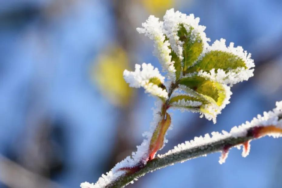Начнется 2 декабря и не закончится всю неделю: синоптики резко изменили прогноз - придется подготовиться
