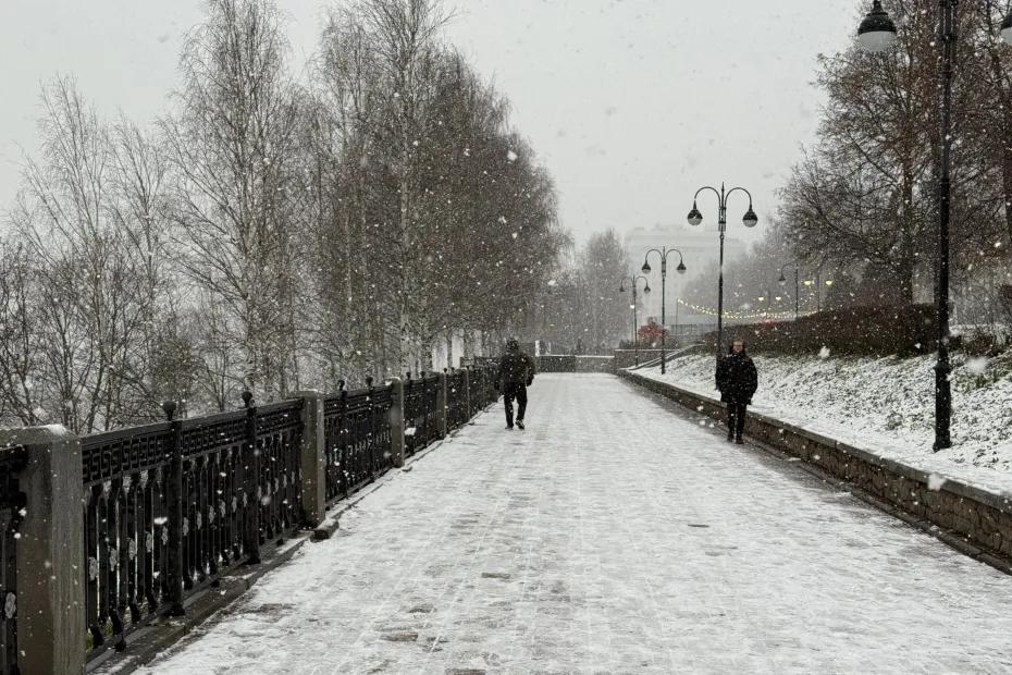 Аномальные морозы ударят без предупреждения: Вильфанд рассказал, каким регионам пора приготовиться