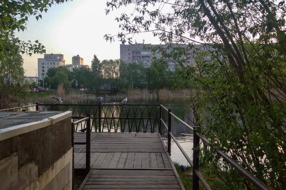 Города, в которые хочется переехать: где в России жить и отдыхать одновременно