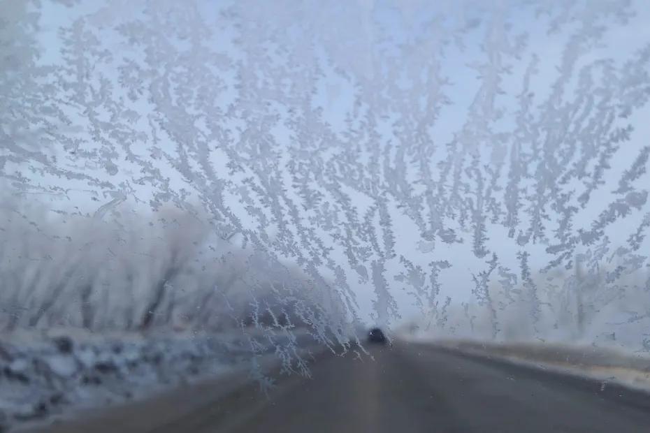 Зима обрушится резко и без жалости: Вильфанд объяснил, когда закончится тёплый период
