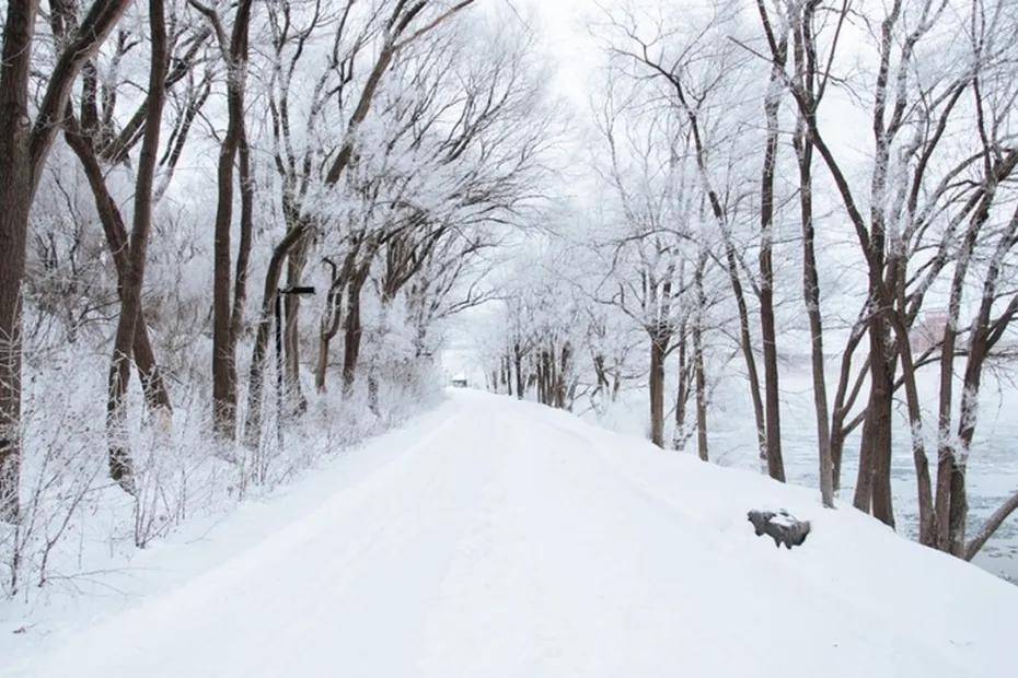 Завалит сильно снегом: синоптики ошарашили россиян на оставшиеся месяцы зимы