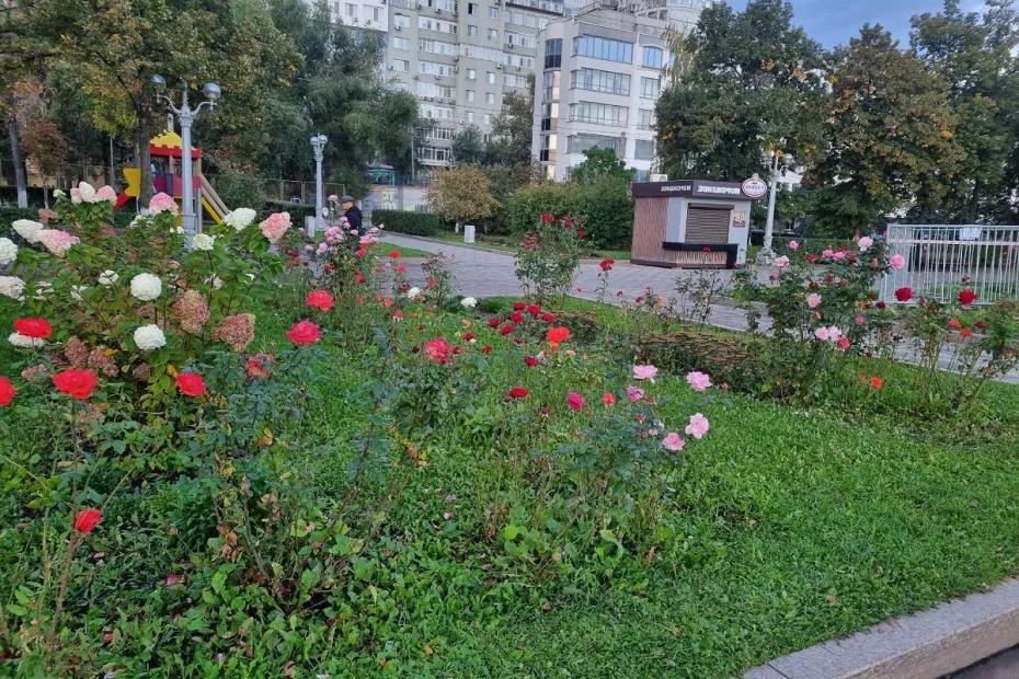 Приехала однажды и влюбилась: один из лучших бюджетных городов в России для туризма - прекрасен круглый год