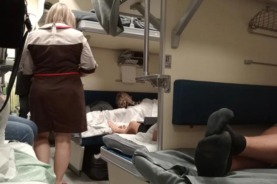 9 привычек пассажиров, которые раздражают проводников и попутчиков